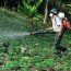 Difference Between Insecticide and Pesticide