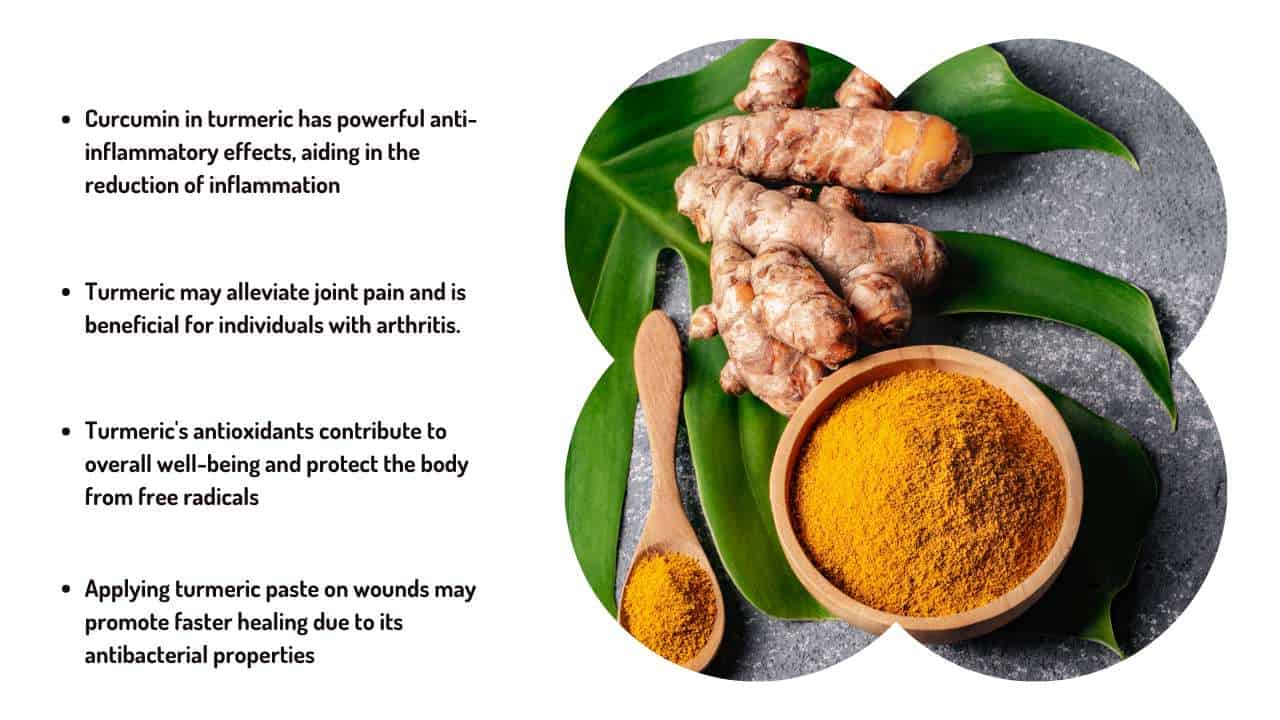 Vibrant turmeric plant, a beneficial herbal gem for home gardens, enriching dishes and promoting well-being