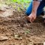 Farmer sowing seeds as part of the Fruit and Vegetable Cultivation Guide