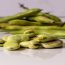 Guide to Growing Broad Beans