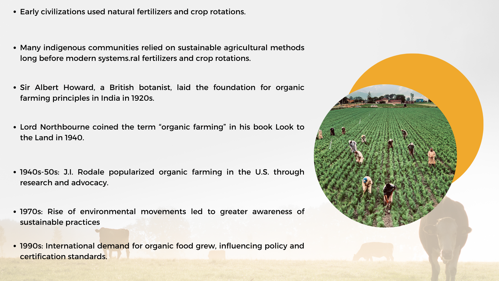 Infographic showing the key milestones in the development of sustainable organic farming practices.