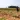 Farmers working in a field using hand tools, showcasing natural techniques in sustainable agriculture.